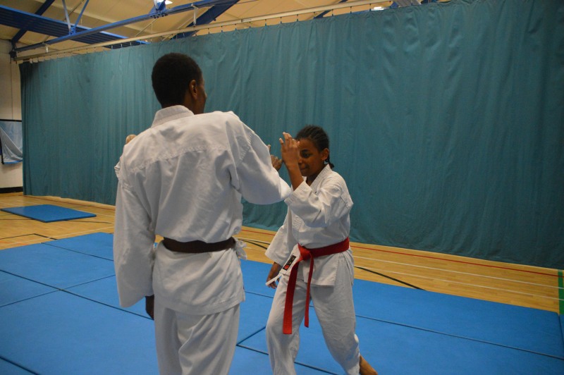 Father and son, brown belt and red belt, practise aikido with unity of mind and body